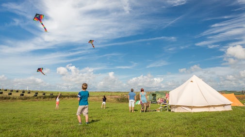 Flying kites at Gupton Farm Campsite, Wales